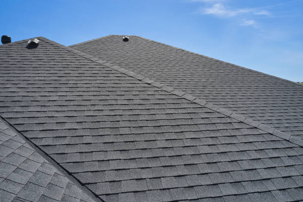 Best Roof Inspection  in USA